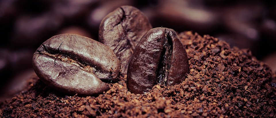Hier sieht man den Kaffee der für MYRRHINIL-INTEST zu Kaffeekohle umgewandelt wird.