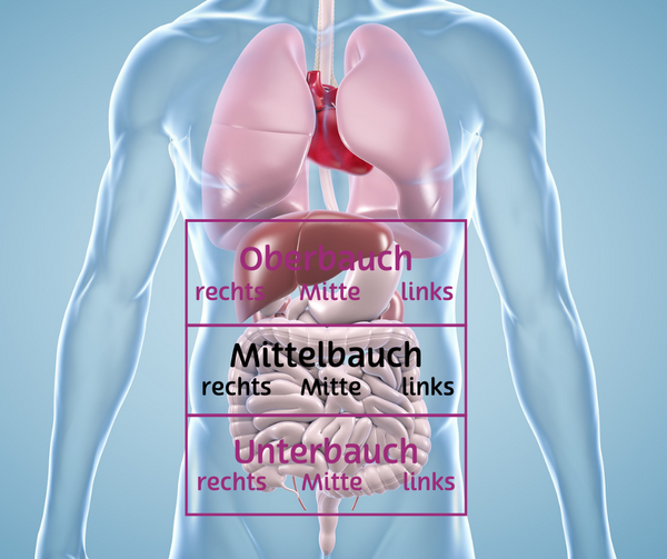 Einteilung des Bauchraumes in oben, mitte und unten. Auf der Grafik ist der mittlere Bereich markiert