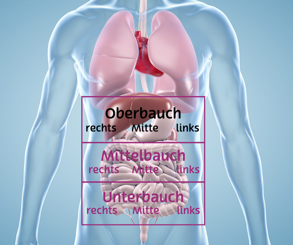 Einteilung des Bauchraumes in oben, mitte und unten. Auf der Grafik ist der obere Bereich markiert.