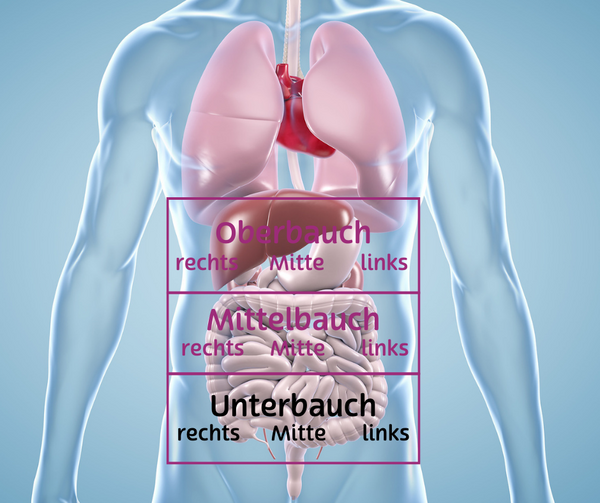 Einteilung des Bauchraumes in oben, mitte und unten. Auf der Grafik ist der untere Bereich markiert.